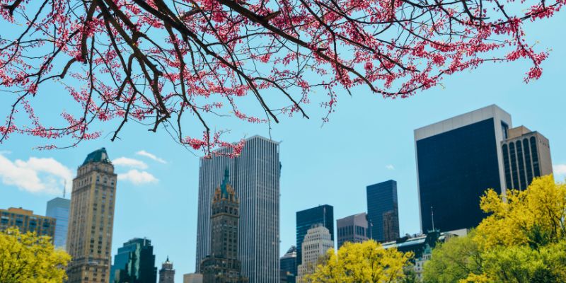A New York skyline in Spring with cherry blossoms in the foreground - Express Capital Financing