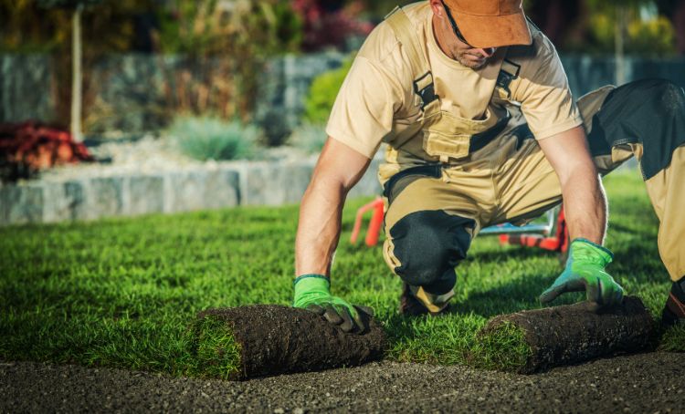 A landscaper laying lawn at a fix and flip property - ECF