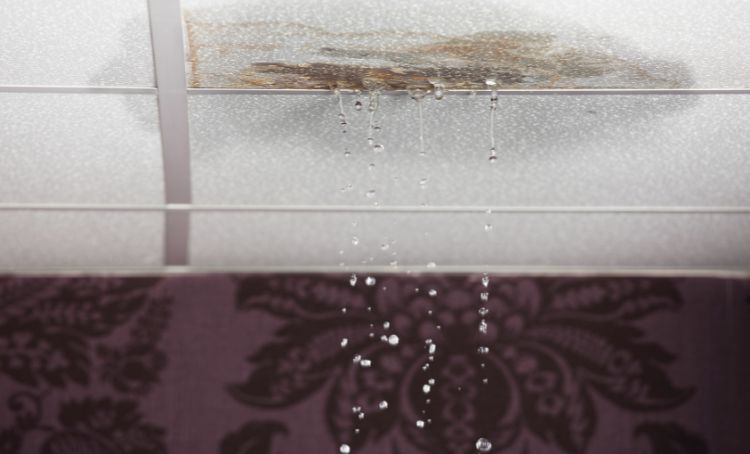 A leak in a rental property - ECF