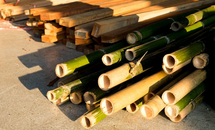 Bamboo as a sustainable ground up construction material - Express Capital Financing